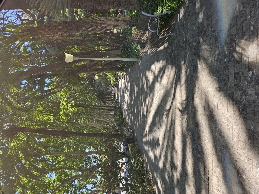 Parque de Málaga