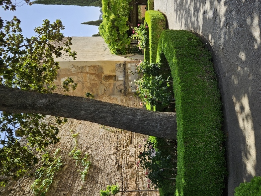 Alhambra - Alcazaba