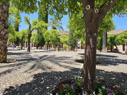 Patio de los Naranjos (Orangenhof)
