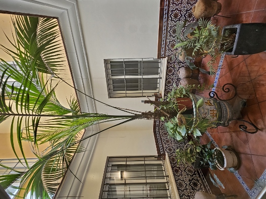Hotel Adriano