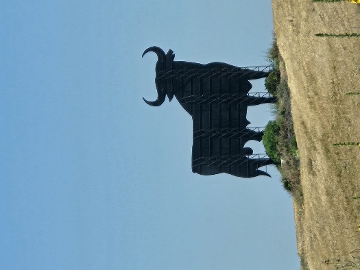 El Toro
