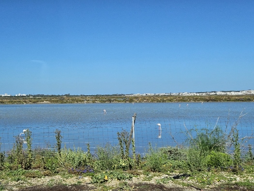 Cádiz im Blick