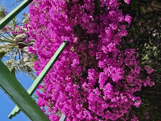 Parque Genovés