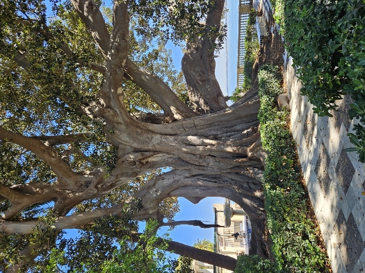 Parque Genovés