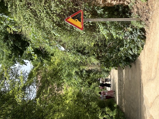 Steinschlaggefahr