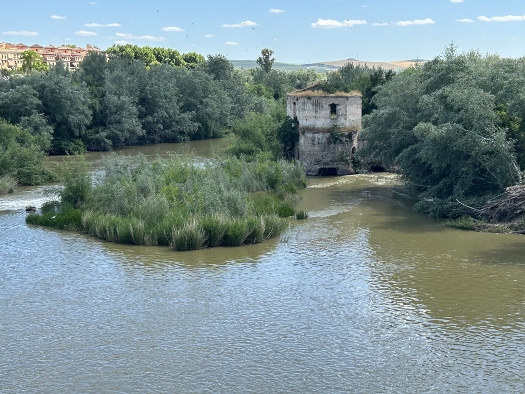 Rio Guadalquivir