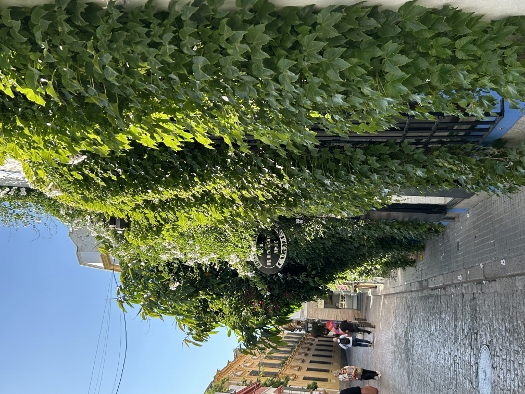 Abendspaziergang