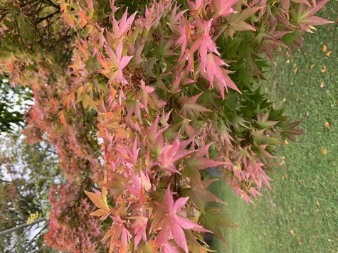 Herbst in der Stadt