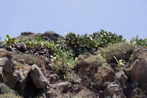 Santorini - Wanderung von Fira nach Oia