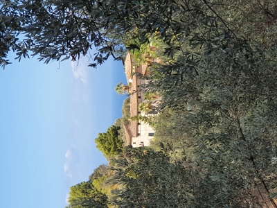 Sóller / Port de Sóller