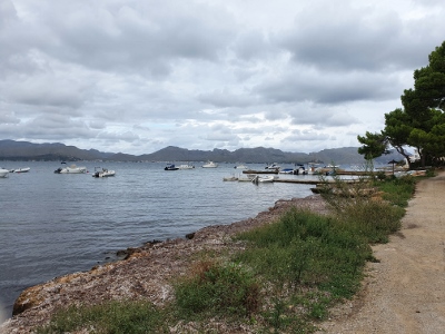 Alcúdia - Küstenspaziergang