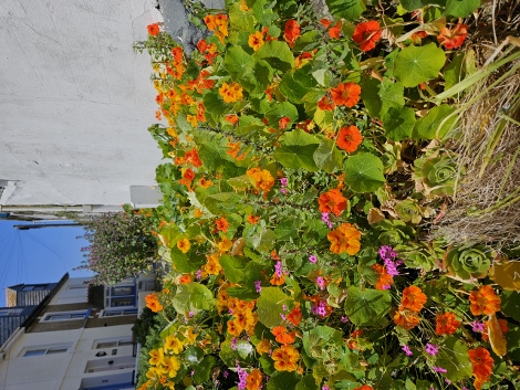 Impressionen aus St. Ives