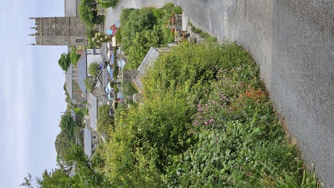South West Coast Path - Einlauf in Zennor