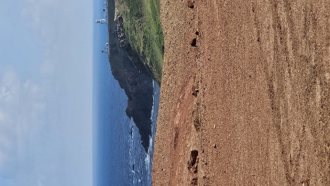 Cornwall Tin Coast Mines