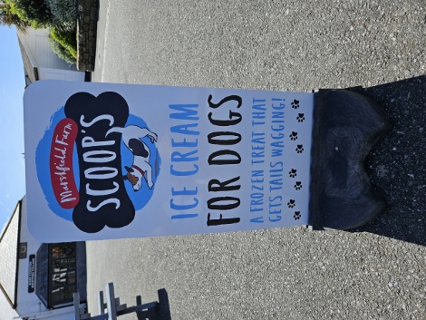 Lands End