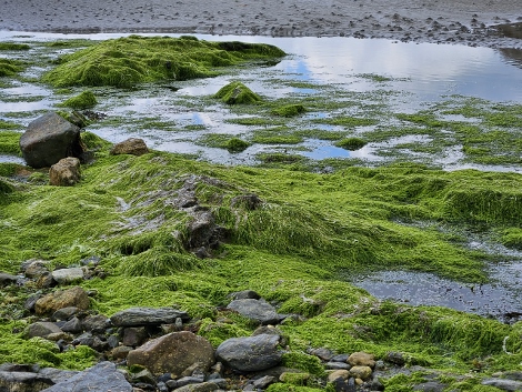 Marazion
