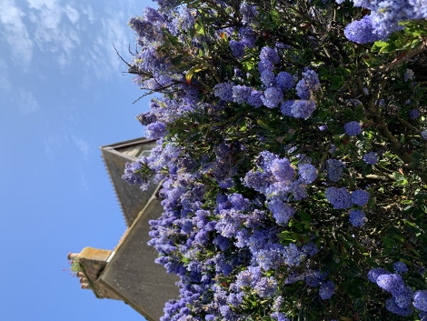 Impressionen aus St. Ives