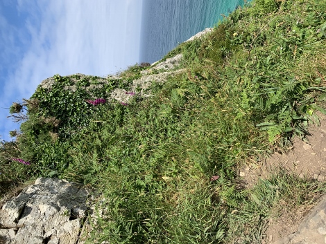 South West Coast Path - jetzt wird`s schon schwieriger