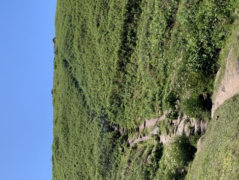 Von hier an ostwärts