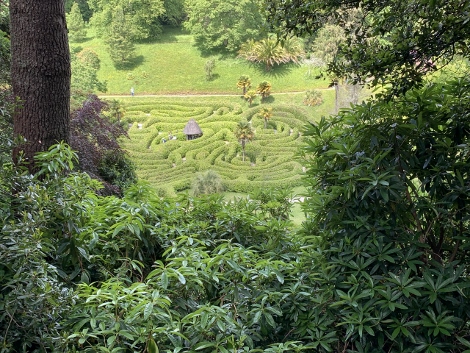 The Maze