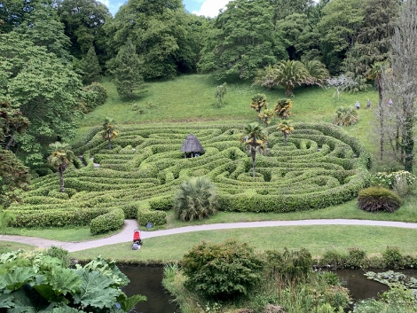 The Maze
