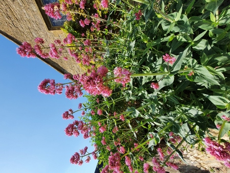 Cotswold Way - Broadway