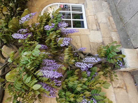 Cotwold Way - Chipping Campden