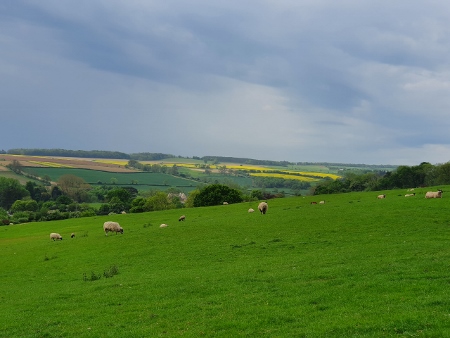 Cotswold Way - von Chipping Campden nach Broadway