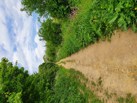 Cotswold Way - von Chipping Campden nach Broadway