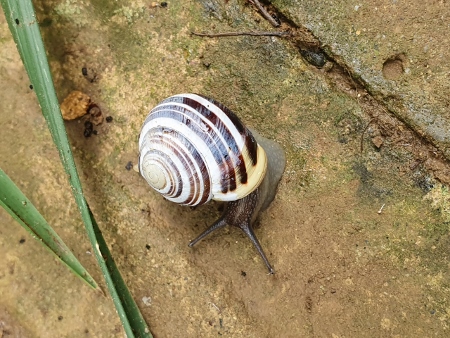 Cotswold Way - von Chipping Campden nach Broadway