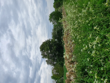Cotswold Way - von Chipping Campden nach Broadway