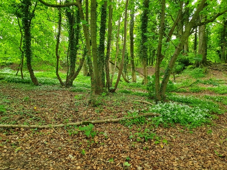 Cotswold Way - von Chipping Campden nach Broadway