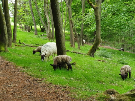 Cotswold Way - von Chipping Campden nach Broadway