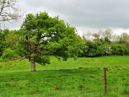 Cotswold Way - von Broadway nach Winchcombe