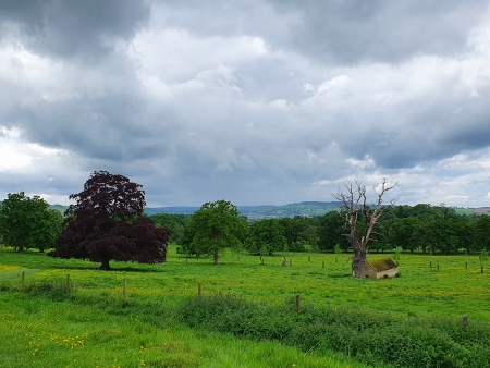 Cotswold Way - von Broadway nach Winchcombe