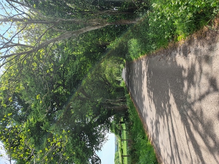 Cotswold Way - von Winchcombe nach Charlton Kings