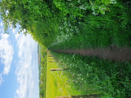 Cotswold Way - von Winchcombe nach Charlton Kings