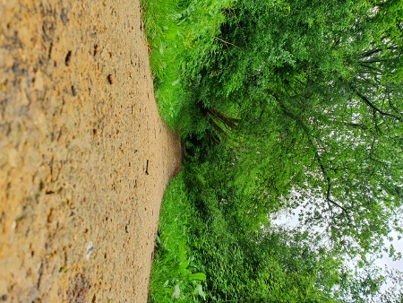 Cotswold Way - von Charlton Kings nach Birdlip