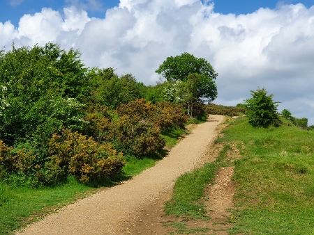 Cotswold Way - von Charlton Kings nach Birdlip - Leckhampton Hill