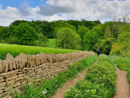Cotswold Way - von Charlton Kings nach Birdlip
