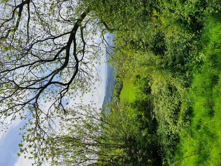 Cotswold Way - von Charlton Kings nach Birdlip