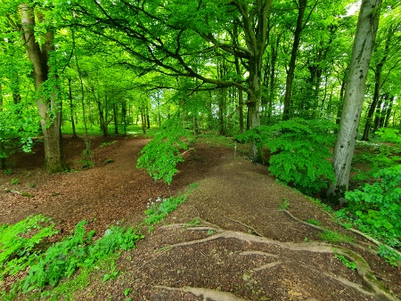 Cotswold Way - von Charlton Kings nach Birdlip
