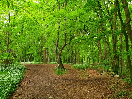 Cotswold Way - von Birdlip nach Painswick