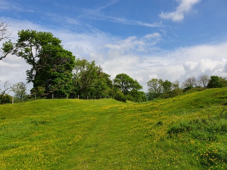 Cotswold Way - von Painswick nach Kings Stanley - Haresfield Beacon