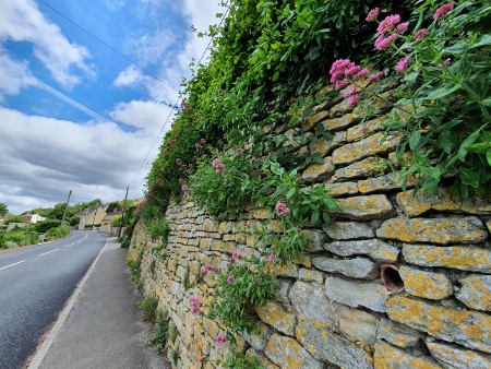 Cotswold Way - Kings Stanley