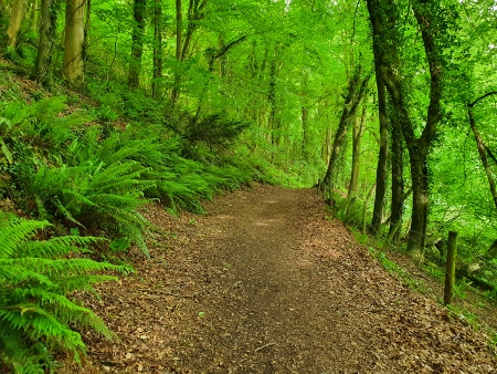 Cotswold Way - von Kings Stanley nach Wotton-under-Edge