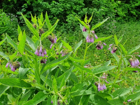 Cotswold Way - von Kings Stanley nach Wotton-under-Edge