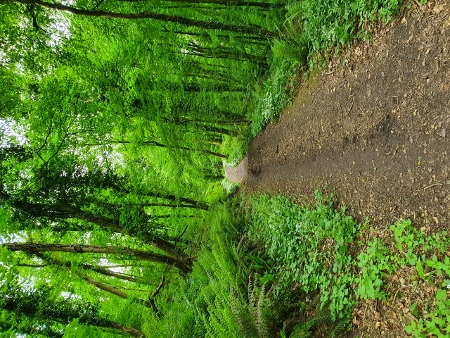 Cotswold Way - von Kings Stanley nach Wotton-under-Edge