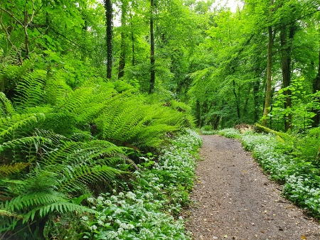 Cotswold Way - von Kings Stanley nach Wotton-under-Edge