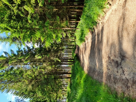 Cotswold Way - von Wotton-under-Edge nach Old Sodbury